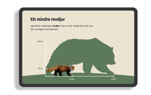 Epical helps bringing the natural world to life with Nordens Ark through digital experiences